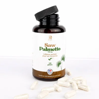 Saw_palmetto1